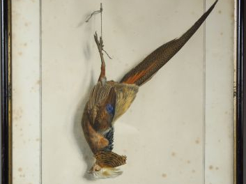 Suite de cinq lithographies de chasse d'après Edouard Travies