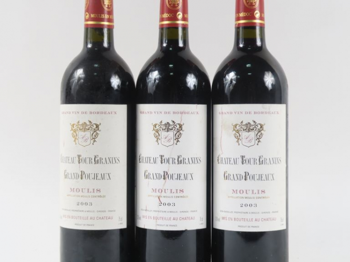 3 BOUTEILLES CHÂTEAU TOUR GRANINS GRAND POUJEAUX MOULIS - 2003