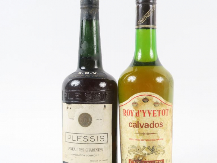 2 BOUTEILLES : 1 VIEUX PINEAU DES CHARENTES PLESSIS - 1 CALVADOS ROY D