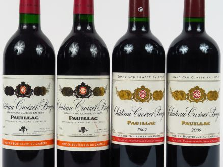 4 BOUTEILLES CHÂTEAU CROIZET BAGES GCC PAUILLAC - 2 de 1995/2 de 2009