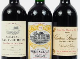 Vente aux enchères 3 BOUTEILLES : 1 CHÂTEAU BRANAIRE GCC ST JULIEN 1995 - 1 CHÂTEAU HAUT 