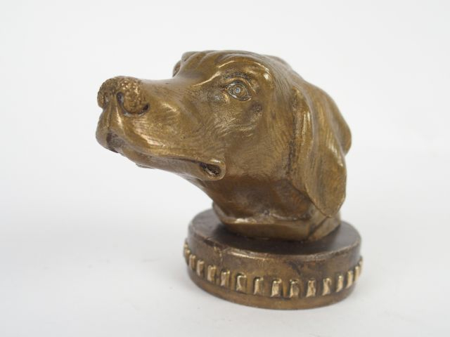 Bouchon de radiateur en bronze patiné 'Tête de chien'. Signé , H PAYEN