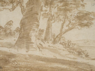 Vente aux enchères Attribué à Claude GELLEE dit LE LORRAIN. 'Bouquet d’arbres'. Plume et 