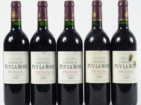 5 BOUTEILLES CHÂTEAU PUY LA ROSE PAUILLAC - 2003