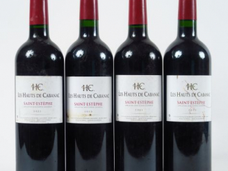 Vente aux enchères 4 BOUTEILLES LES HAUTS DE CABANAC ST ESTEPEHE - 2 de 2010/2 de 2011