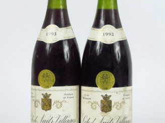 Vente aux enchères 2 BOUTEILLES CÔTE DE NUITS VILLAGE H. NAUDIN FERRAND - 1993 - 2 CM