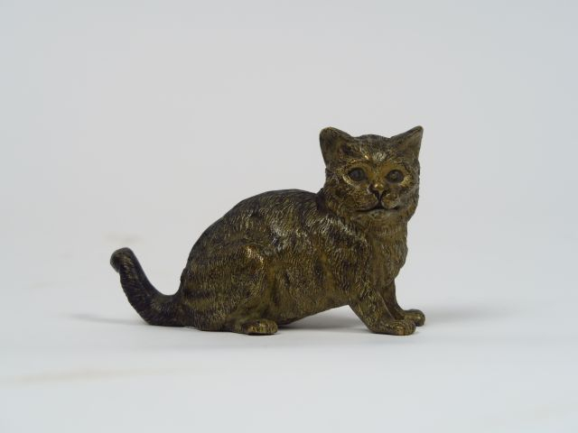 Sujet en bronze polychrome de Vienne 'Chaton assis'. marqué B. 16 Dim.