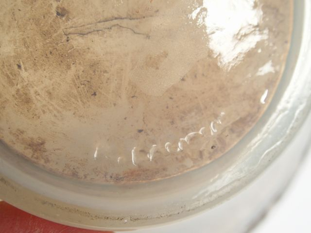 LALIQUE. Vase 'Aras' en verre blanc soufflé moulé, patiné et opalescen