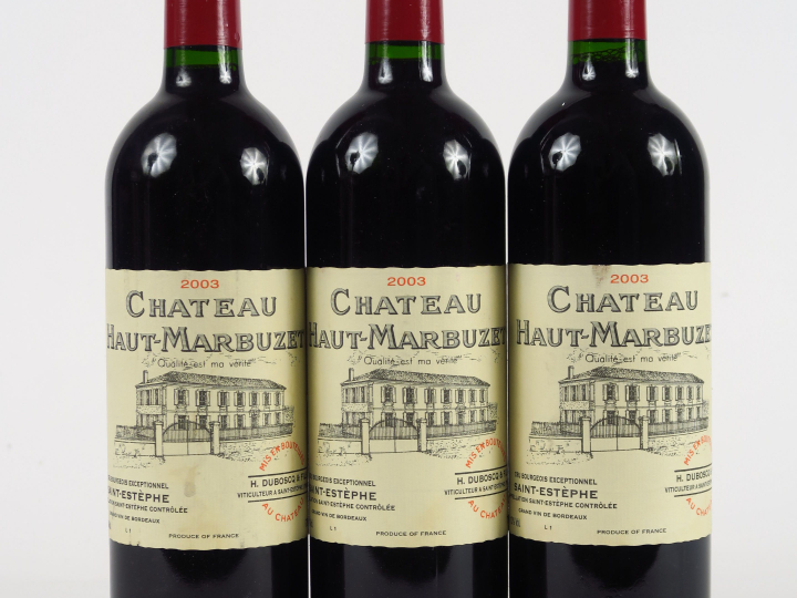 3 BOUTEILLES CHÂTEAU HAUT MARBUZET ST ESTEPHE - 2003