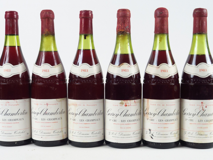 6 BOUTEILLES GEVREY CHAMBERTIN 1er CRU 'LES CHAMPEAUX' DOMAINE TORTOCH