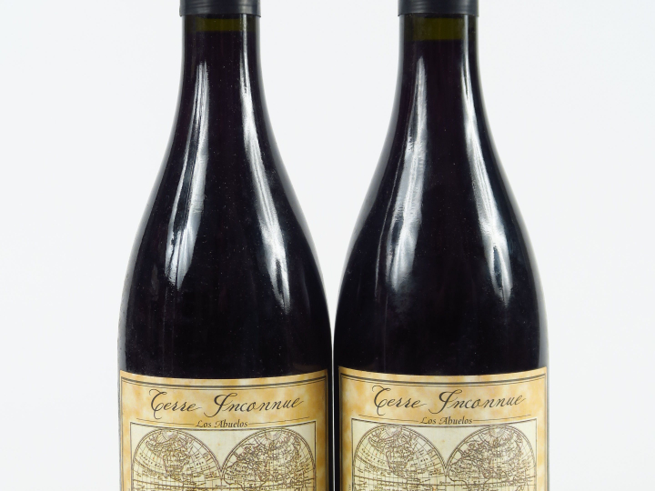 2 BOUTEILLES TERRE INCONNUE 'LOS ABUELOS' - 2004