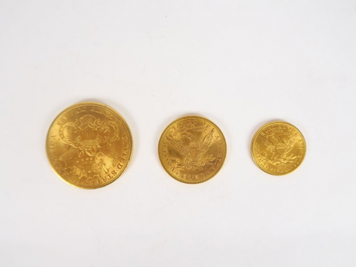 Lot comprenant :  - une pièce de 20 Dollars or, 1904 - une pièce de 10