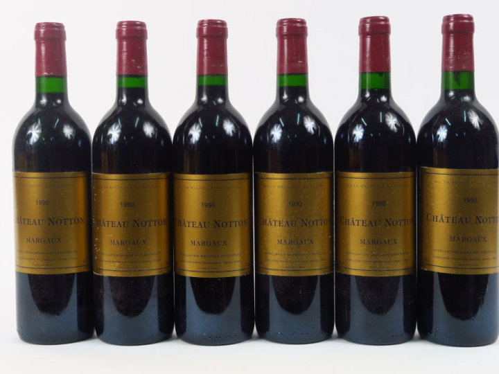 6 BOUTEILLES CHÂTEAU NOTTON MARGAUX - 1990 - CBO