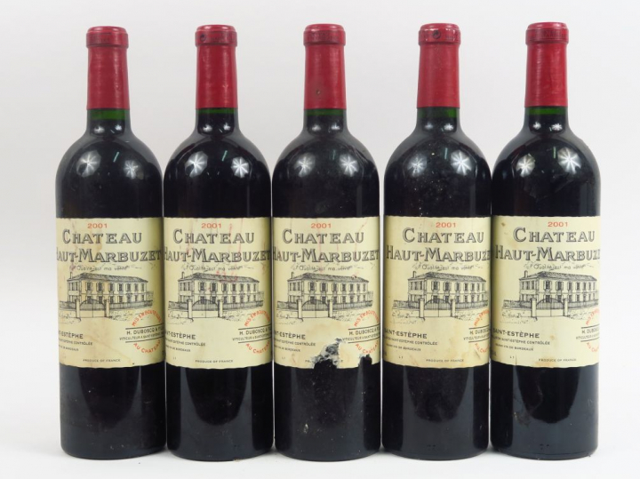 5 BOUTEILLES CHÂTEAU HAUT MARBUZET ST ESTEPHE - 2001 - 1 EA