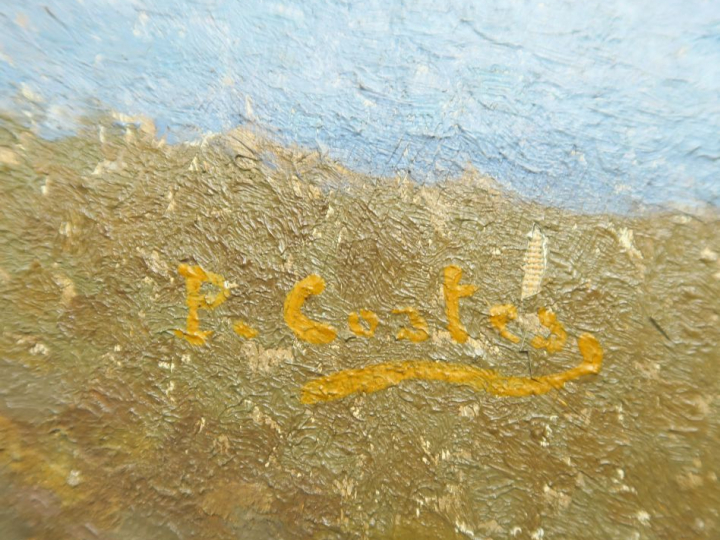 P. COSTES. "Paysage lacustre".  Huile sur toile, signée en bas à droit