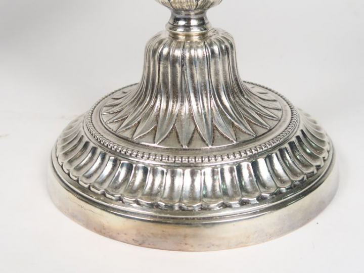 Paire de candélabres de style Louis XVI en bronze argenté, à décor de 