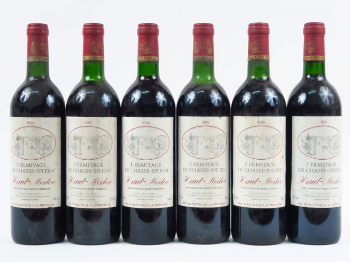 6 BOUTEILLES L'ERMITAGE DE CHASSE SPLEEN HAUT MEDOC - 1988 - 5 BG/1 HE