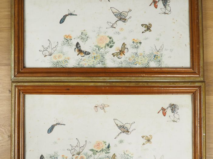 Paire d'aquarelles sur papier représentant diverses espèces de papillo