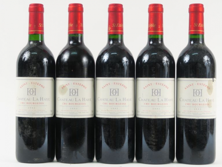 5 BOUTEILLES CHÂTEAU LA HAYE CB ST ESTEPHE - 1995