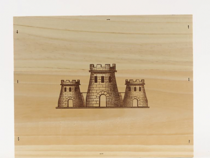 3 BOUTEILLES LES FORTS DE LATOUR PAUILLAC - 2013