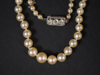 Vente aux enchères Collier de perles de culture disposées en chute.  Joli fermoir en or b