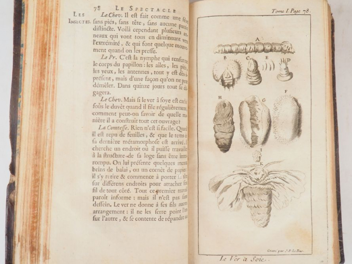 PLUCHE, abbé. Le Spectacle de la Nature ou Entretiens sur les particul
