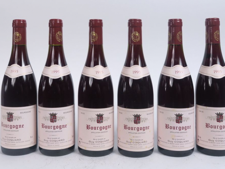 6 BOUTEILLES BOURGOGNE G. COQUARD - 1995 - 0,5 CM