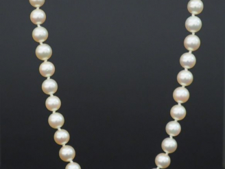 Vente aux enchères Collier de perles de culture fermoir or.