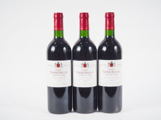 Vente aux enchères 3 BOUTEILLES CHÂTEAU TERTRE DAUGAY GCC ST EMILION - 1995 - BG