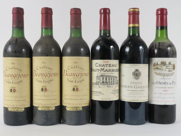 6 BOUTEILLES ST ESTEPHE : 1 CHÂTEAU HAUT MARBUZET 2006 - 1 CHÂTEAU CAP
