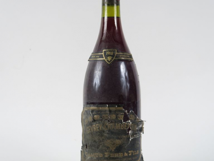 1 MAGNUM GEVREY CHAMBERTIN CAMUS - 1988 - ETA