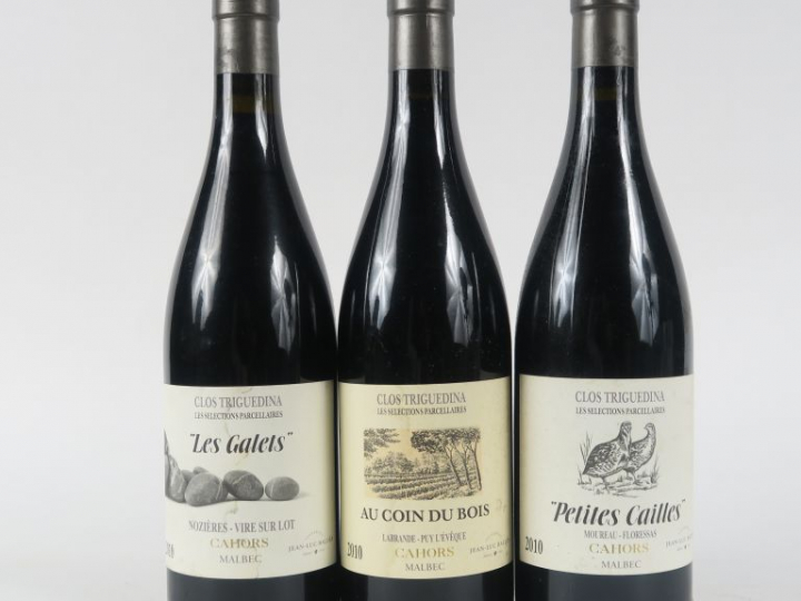 3 BOUTEILLES CLOS TRIGUEDINA JEAN LUC BALDES 2010 : 1 LES PETITES CAIL