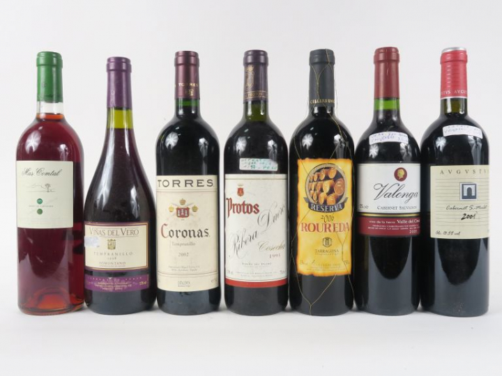 7 BOUTEILLES VINS ESPAGNOLS