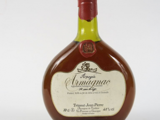Vente aux enchères 1 BOUTEILLE ARMAGNAC 30 ANS D'ÂGE TREPOUT 41°