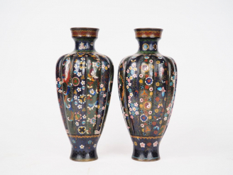 Vente aux enchères Paire de vases en émaux cloisonnés sur bronze à décor aux mille fleurs