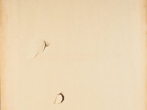 Ecole persane fin XIXème - début Xxème. "Jeune fille à l'oiseau".  Hui