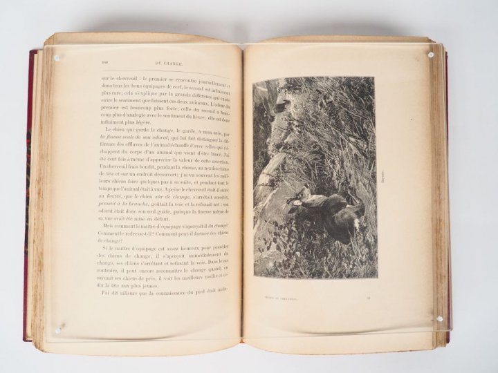 [Chasse] CHABOT (Comte). La chasse du chevreuil et du cerf avec l'hist