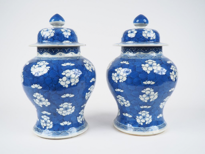 Paire de potiches couvertes en porcelaine bleu blanc à décor de fleurs