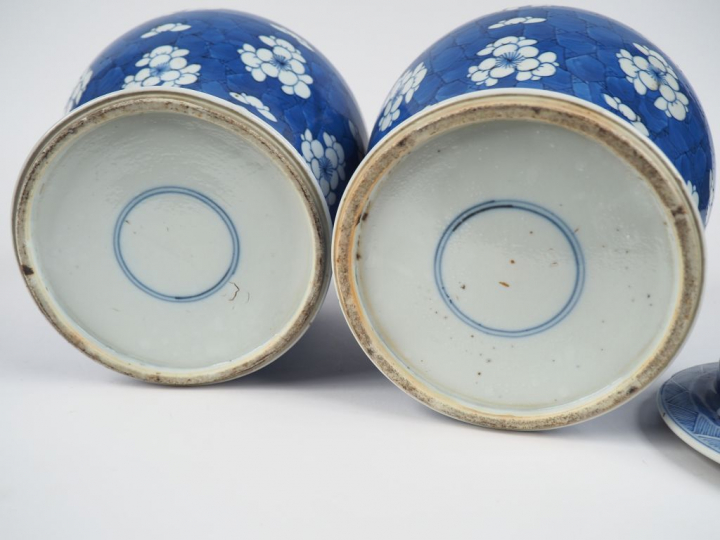 Paire de potiches couvertes en porcelaine bleu blanc à décor de fleurs