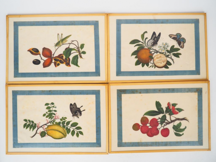 Canton, vers 1880 Dix gouaches sur papier de riz à décor de papillons,