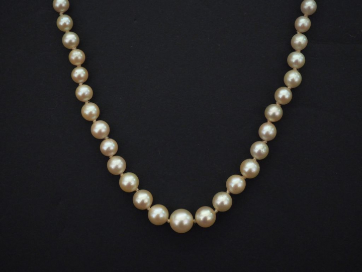 Collier de perles blanches disposées en chute. Fermoir et chainette de