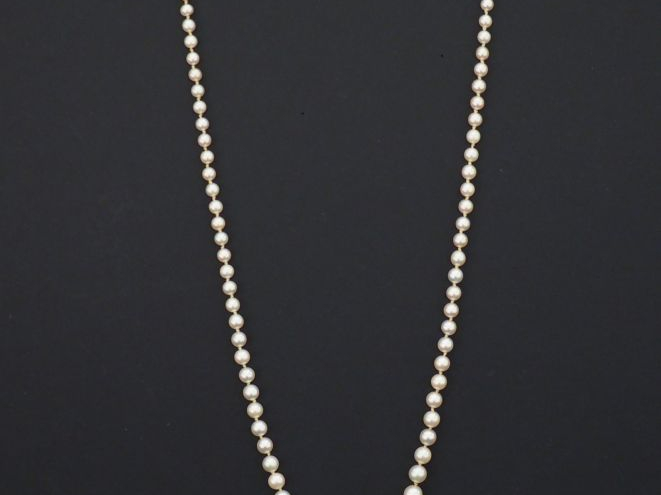 Collier de perles blanches disposées en chute.  Fermoir en or jaune, à
