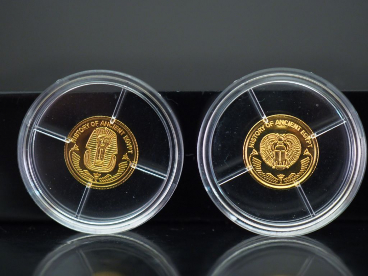 Deux pièces de 10 Dollars or Fidji. 2010.  FRAIS ACHETEURS 5% TTC.   