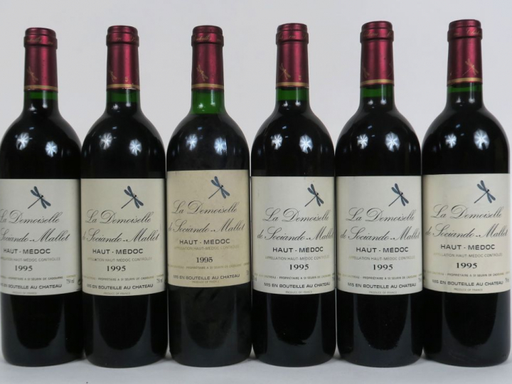 6 BOUTEILLES LA DEMOISELLE DE SOCIANDO MALLET - 1995 - 1 LB