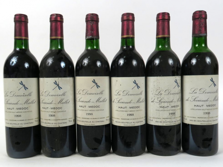 6 BOUTEILLES LA DEMOISELLE DE SOCIANDO MALLET - 1993 - 2 BG/1 LB/1 HEP