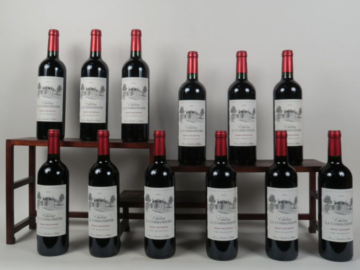 12 BOUTEILLES CHÂTEAU LA COMMANDERIE SAINT ESTEPHE - 2005 - 1 ELS