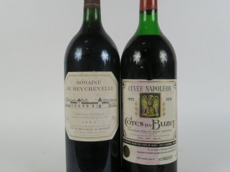 Vente aux enchères 2 MAGNUMS : 1 DOMAINE DE BEYCHEVELLE 1994 ELS -1 COTES DE BUZET CUVEE 