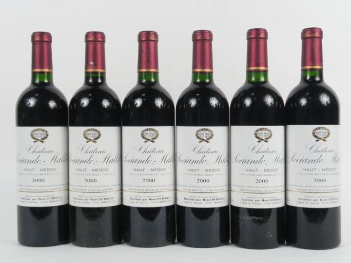 6 BOUTEILLES CHÂTEAU SOCIANDO MALLET HAUT MEDOC - 2000