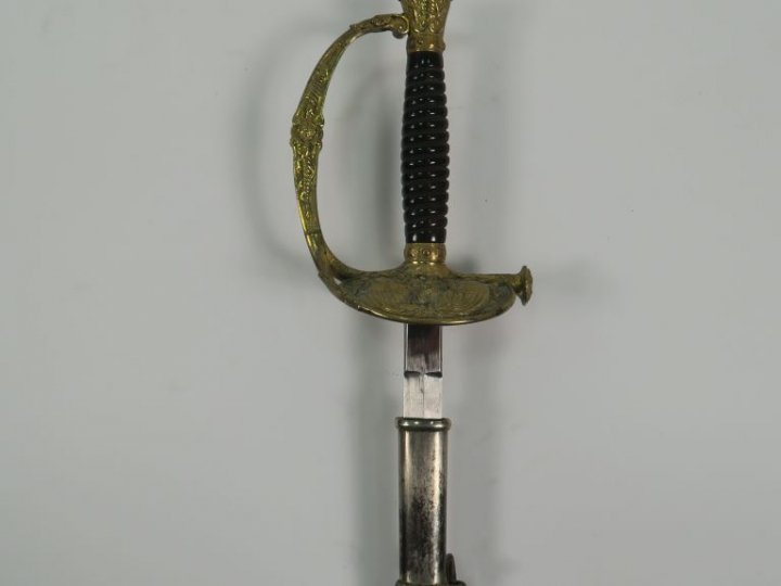 Belle épée d’officier supérieur du corps de santé mi XIX éme. Monture 
