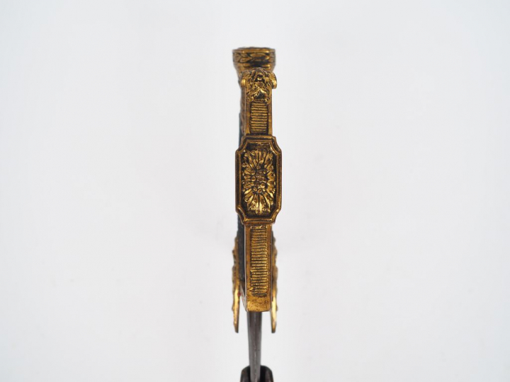 Sabre composite dans le goût d’un sabre de luxe d’officier de cavaleri
